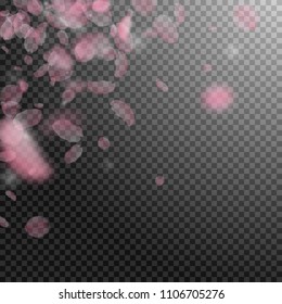 Sakura petals falling down. Romantic pink flowers corner. Flying petals on transparent square background. Love, romance concept. Dramatic wedding invitation.