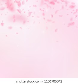 Sakura petals falling down. Romantic pink flowers gradient. Flying petals on pink square background. Love, romance concept. Elegant wedding invitation.