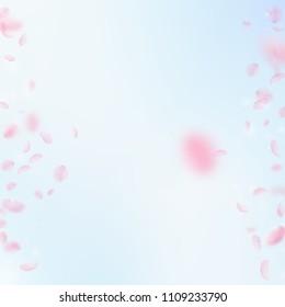Sakura petals falling down. Romantic pink flowers borders. Flying petals on blue sky square background. Love, romance concept. Mesmeric wedding invitation.