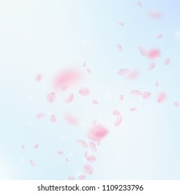 Sakura petals falling down. Romantic pink flowers corner. Flying petals on blue sky square background. Love, romance concept. Trending wedding invitation.