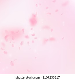 Sakura petals falling down. Romantic pink flowers corner. Flying petals on pink square background. Love, romance concept. Worthy wedding invitation.