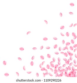 Sakura petals falling down. Romantic pink silky medium flowers. Thick flying cherry petals. Scattered bottom right corner unusual vector background. Love, affection, romance concept.