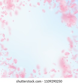 Sakura petals falling down. Romantic pink flowers vignette. Flying petals on blue sky square background. Love, romance concept. Divine wedding invitation.