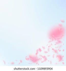 Sakura petals falling down. Romantic pink flowers corner. Flying petals on blue sky square background. Love, romance concept. Superb wedding invitation.