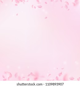 Sakura petals falling down. Romantic pink flowers borders. Flying petals on pink square background. Love, romance concept. Pleasant wedding invitation.