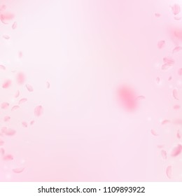 Sakura petals falling down. Romantic pink flowers borders. Flying petals on pink square background. Love, romance concept. Popular wedding invitation.