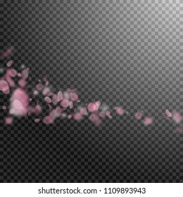 Sakura petals falling down. Romantic pink flowers comet. Flying petals on transparent square background. Love, romance concept. Terrific wedding invitation.