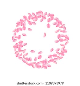 Sakura petals falling down. Romantic pink bright medium flowers. Thick flying cherry petals. Round frame neat vector background. Love, affection, romance concept.