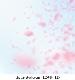 Sakura petals falling down. Romantic pink flowers gradient. Flying petals on blue sky square background. Love, romance concept. Pretty wedding invitation.