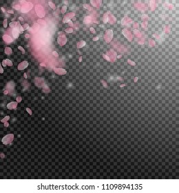 Sakura petals falling down. Romantic pink flowers falling rain. Flying petals on transparent square background. Love, romance concept. Powerful wedding invitation.