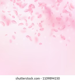 Sakura petals falling down. Romantic pink flowers gradient. Flying petals on pink square background. Love, romance concept. Rare wedding invitation.