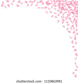 Sakura petals falling down. Romantic pink silky small flowers. Thick flying cherry petals. Square right top corner extra vector background. Love, affection, romance concept.