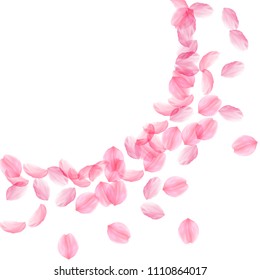 Sakura petals falling down. Romantic pink silky big flowers. Thick flying cherry petals. Large radiant corner fancy vector background. Love, affection, romance concept.