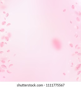 Sakura petals falling down. Romantic pink flowers borders. Flying petals on pink square background. Love, romance concept. Positive wedding invitation.