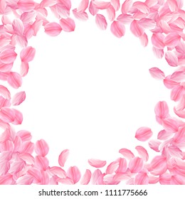 Sakura petals falling down. Romantic pink bright big flowers. Thick flying cherry petals. Circle frame cute vector background. Love, affection, romance concept.