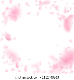 Sakura petals falling down. Romantic pink flowers vignette. Flying petals on white square background. Love, romance concept. Fine wedding invitation.