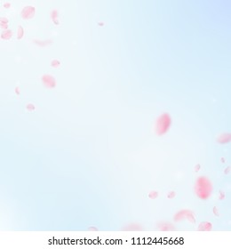 Sakura petals falling down. Romantic pink flowers corner. Flying petals on blue sky square background. Love, romance concept. Unusual wedding invitation.