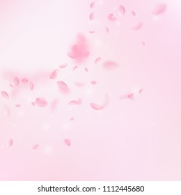 Sakura petals falling down. Romantic pink flowers corner. Flying petals on pink square background. Love, romance concept. Admirable wedding invitation.