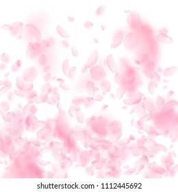 Sakura petals falling down. Romantic pink flowers gradient. Flying petals on white square background. Love, romance concept. Curious wedding invitation.