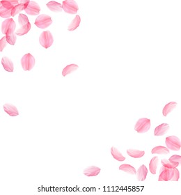 Sakurafälle fallen herunter. Romantisch rosa seidig große Blumen. Dicke fliegende Kirschblüten. Abstrakte Ecken bezaubernden Vektorhintergrund. Liebe, Zuneigung, Romantik Konzept.