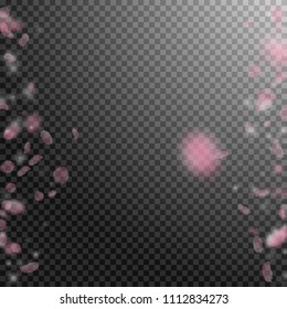 Sakura petals falling down. Romantic pink flowers borders. Flying petals on transparent square background. Love, romance concept. Stunning wedding invitation.