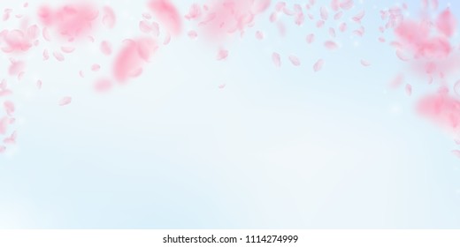 Sakura petals falling down. Romantic pink flowers falling rain. Flying petals on blue sky wide background. Love, romance concept. Impressive wedding invitation.