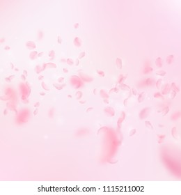 Sakura petals falling down. Romantic pink flowers falling rain. Flying petals on pink square background. Love, romance concept. Impressive wedding invitation.