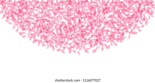 Sakura petals falling down. Romantic pink silky medium flowers. Thick flying cherry petals. Wide top semicircle bewitching vector background. Love, affection, romance concept.