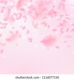 Sakura petals falling down. Romantic pink flowers falling rain. Flying petals on pink square background. Love, romance concept. Graceful wedding invitation.