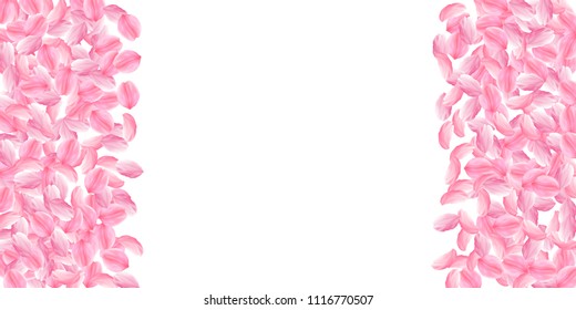 Sakura petals falling down. Romantic pink bright big flowers. Thick flying cherry petals. Wide border perfect vector background. Love, affection, romance concept.