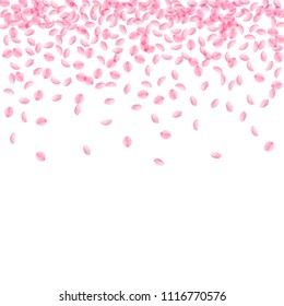 Sakura petals falling down. Romantic pink silky small flowers. Thick flying cherry petals. Scatter top gradient sublime vector background. Love, affection, romance concept.