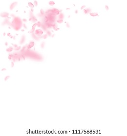 Sakura petals falling down. Romantic pink flowers corner. Flying petals on white square background. Love, romance concept. Creative wedding invitation.