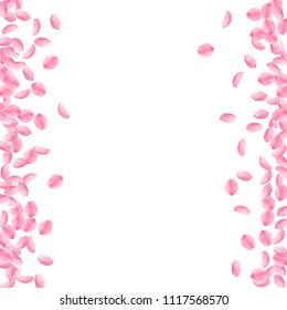 Sakura petals falling down. Romantic pink bright medium flowers. Thick flying cherry petals. Messy border immaculate vector background. Love, affection, romance concept.