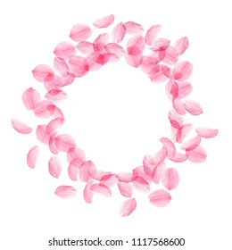 Sakura petals falling down. Romantic pink silky big flowers. Thick flying cherry petals. Frame circle exquisite vector background. Love, affection, romance concept.