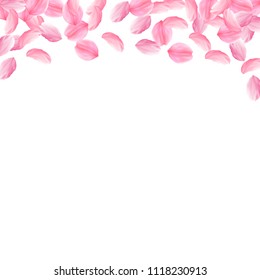 Sakura petals falling down. Romantic pink bright big flowers. Thick flying cherry petals. Square top border fascinating vector background. Love, affection, romance concept.