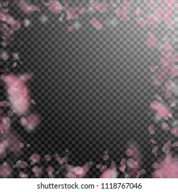 Sakura petals falling down. Romantic pink flowers frame. Flying petals on transparent square background. Love, romance concept. Sublime wedding invitation.