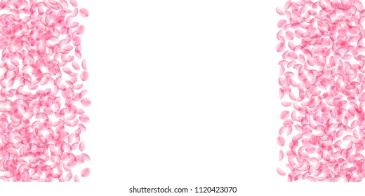 Sakura petals falling down. Romantic pink silky medium flowers. Thick flying cherry petals. Wide border posh vector background. Love, affection, romance concept.