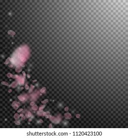 Sakura petals falling down. Romantic pink flowers corner. Flying petals on transparent square background. Love, romance concept. Amusing wedding invitation.