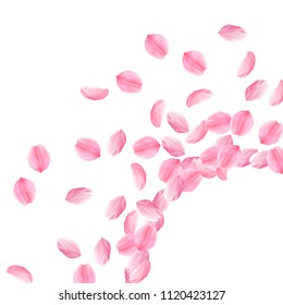 Sakura petals falling down. Romantic pink bright big flowers. Thick flying cherry petals. Radiant corner interesting vector background. Love, affection, romance concept.