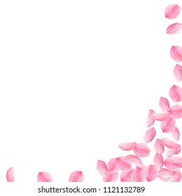 Sakura petals falling down. Romantic pink bright big flowers. Thick flying cherry petals. Square right bottom corner elegant vector background. Love, affection, romance concept.