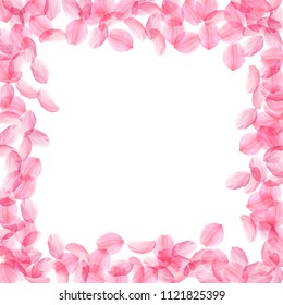 Sakura petals falling down. Romantic pink silky big flowers. Thick flying cherry petals. Square border bewitching vector background. Love, affection, romance concept.