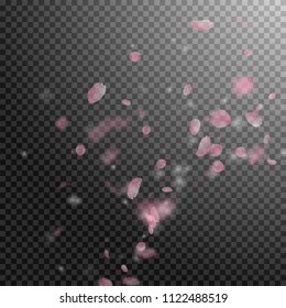 Sakura petals falling down. Romantic pink flowers corner. Flying petals on transparent square background. Love, romance concept. Captivating wedding invitation.
