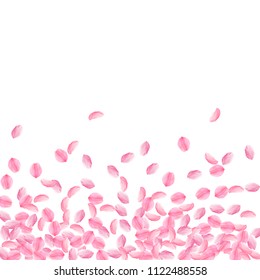 Sakura petals falling down. Romantic pink bright medium flowers. Thick flying cherry petals. Scatter bottom gradient overwhelming vector background. Love, affection, romance concept.