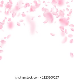 Sakura petals falling down. Romantic pink flowers falling rain. Flying petals on white square background. Love, romance concept. Interesting wedding invitation.