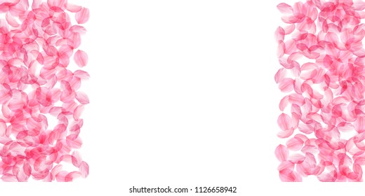 Sakura petals falling down. Romantic pink silky big flowers. Thick flying cherry petals. Wide border pleasing vector background. Love, affection, romance concept.