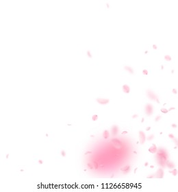 Sakura petals falling down. Romantic pink flowers corner. Flying petals on white square background. Love, romance concept. Beautiful wedding invitation.