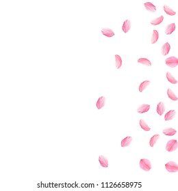 Sakura petals falling down. Romantic pink silky medium flowers. Sparse flying cherry petals. Scatter right gradient remarkable vector background. Love, affection, romance concept.