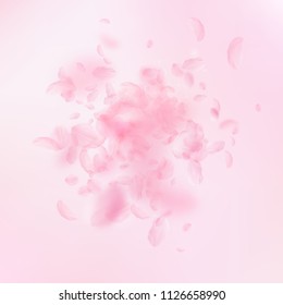 Sakura petals falling down. Romantic pink flowers explosion. Flying petals on pink square background. Love, romance concept. Enchanting wedding invitation.