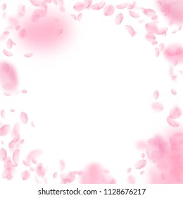 Sakura petals falling down. Romantic pink flowers vignette. Flying petals on white square background. Love, romance concept. Exquisite wedding invitation.