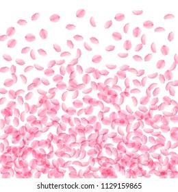Sakura petals falling down. Romantic pink silky medium flowers. Thick flying cherry petals. Bottom gradient beautiful vector background. Love, affection, romance concept.